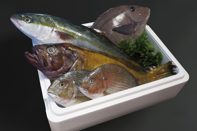 豊洲鮮魚BOX